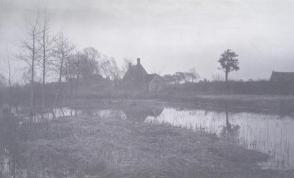 Evening Piece of Life and Landscape Norfolk Broad