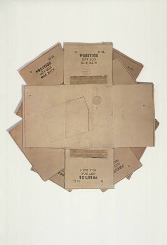 Cardbird VII