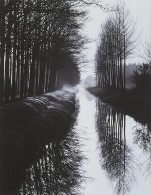 Untitled (Canal)