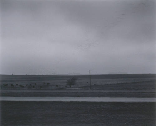 Landscape Near Ft. Worth, Texas