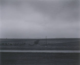Landscape Near Ft. Worth, Texas