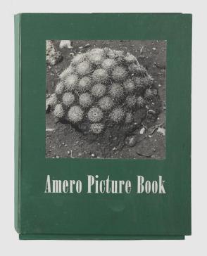 Amero Picture Book