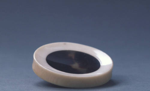 Tortoise Shell and Ivory Snuff Tray