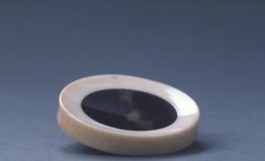 Tortoise Shell and Ivory Snuff Tray