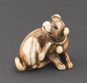 Netsuke modelled as a dog scratching its neck