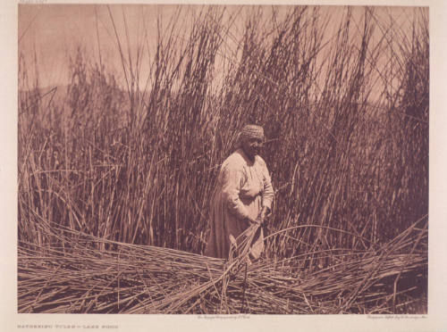 Gathering Tules-Lake Pomo