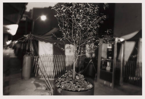 Photo: Elizabeth Mann