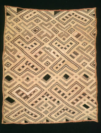 Panel