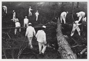 Clearing Land, Ellis Unit