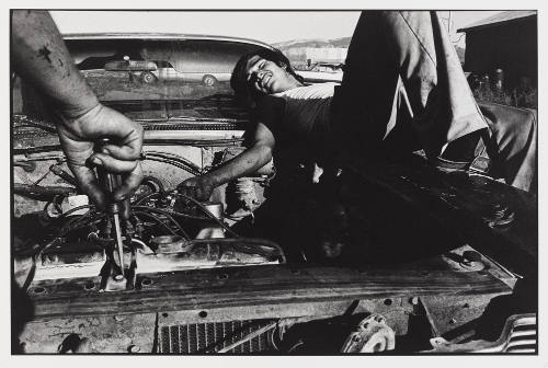 Photo: Elizabeth Mann