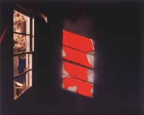 Zuma Number 5, from "The Zuma Series, Portfolio One", 1982
