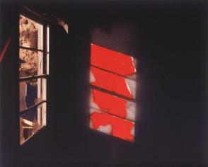 Zuma Number 5, from "The Zuma Series, Portfolio One", 1982