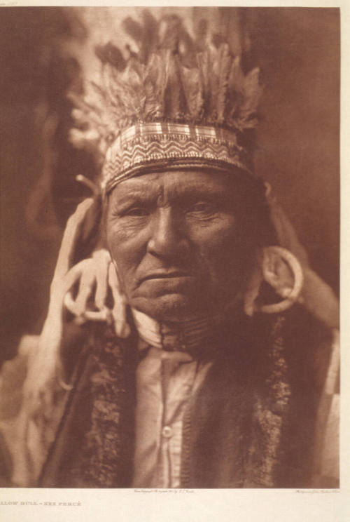 Yellow Bull - Nez Perce