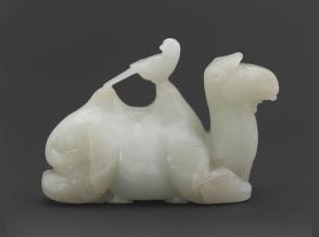 Camel and bird
