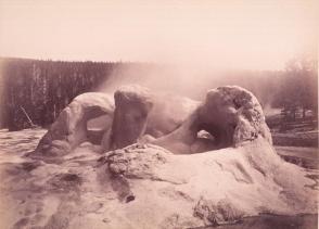 Grotto Geyser, Yellowstone National Park