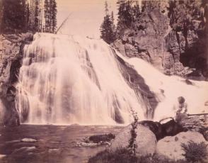 Gibbon Falls, 84 Feet, Yellowstone National Park