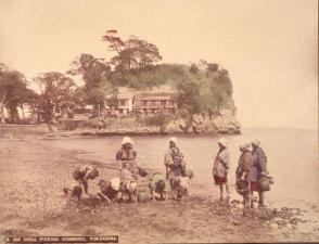 A308 Shell Picking Honmoku, Yokohama