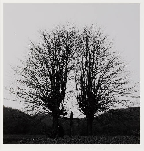Photo: Elizabeth Mann