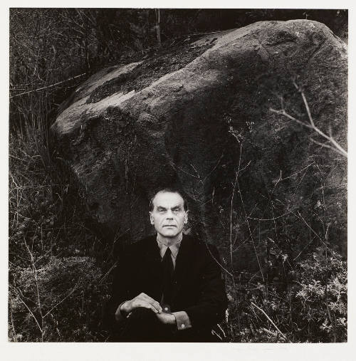 Photo: Elizabeth Mann