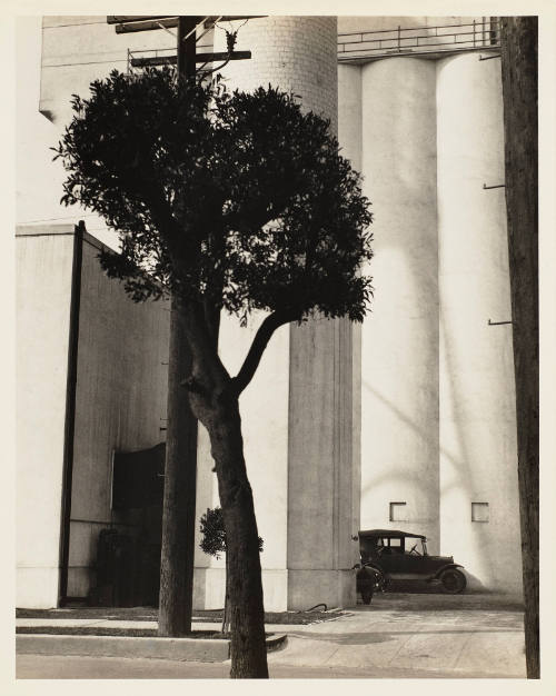 Photo: Elizabeth Mann