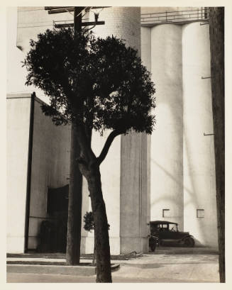Photo: Elizabeth Mann