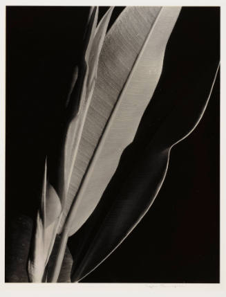Photo: Elizabeth Mann