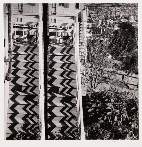 Photo: Elizabeth Mann