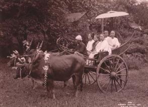 Burmese Festival Cart, #449, From the Album Souvenir of Burmah, 1902, M.J. Heney