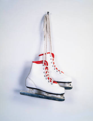 Image courtesy of the Virginia and Bagley Wright Collection