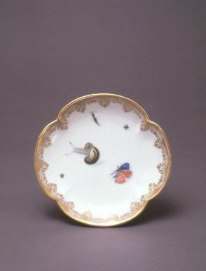 Saucer