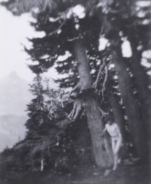 © (1915), 2009 Imogen Cunningham Trust
