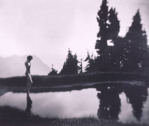 © (1915), 2009 Imogen Cunningham Trust