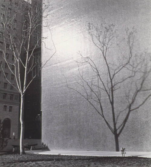 © (1960), 2009 Imogen Cunningham Trust