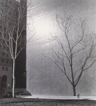 © (1960), 2009 Imogen Cunningham Trust