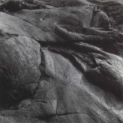 © (1961), 2009 Imogen Cunningham Trust