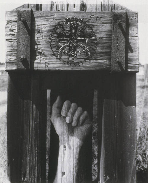 © (1965), 2009 Imogen Cunningham Trust