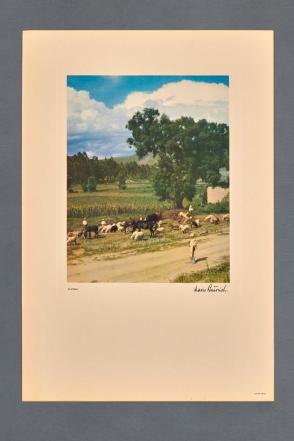 Pastoral from Puebla (Book of eight color images)