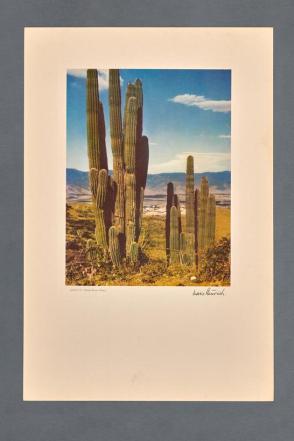 Oaxaca (Desde Monte Alban) from Oaxaca (Book of eight color images)