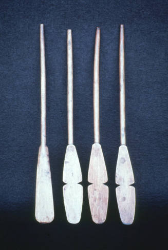 Xákwl'ee shál
