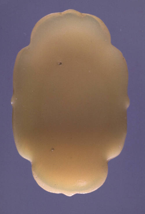 Snuff tray
