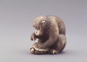 Model of a Seated Monkey Poking at a Turtle