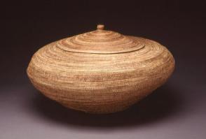 Lidded storage basket