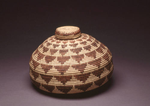 Lidded storage basket