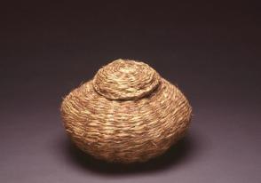 Lidded "refrigerator" basket