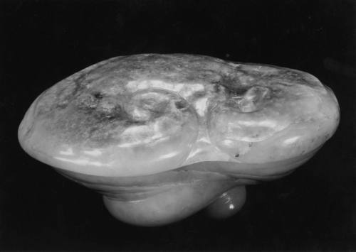 Pigment box