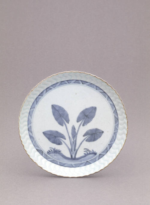 Plate