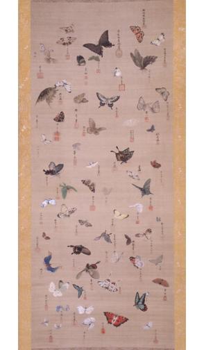 Hanging Scroll (Sixty-four butterflies and moths)
