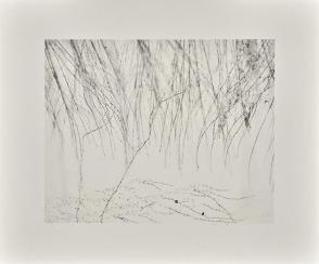  Photograph of willow branches in front of white wall  