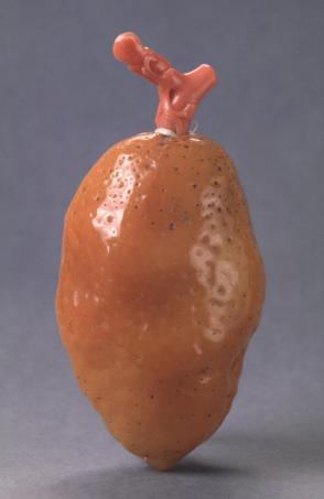 Snuff bottle