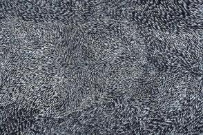 Australian Aboriginal Art